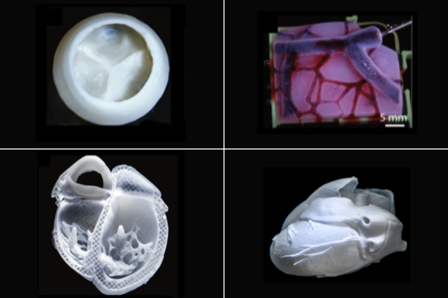 Discover the Online Graduate Certificate in 3D Bioprinting & Biofabrication from BME.